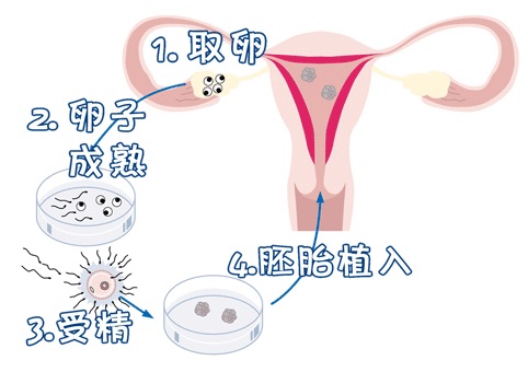 王晨光主任